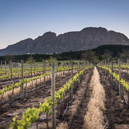 Lanzerac Hotel&Spa Stellenbosch Exteriér fotografie